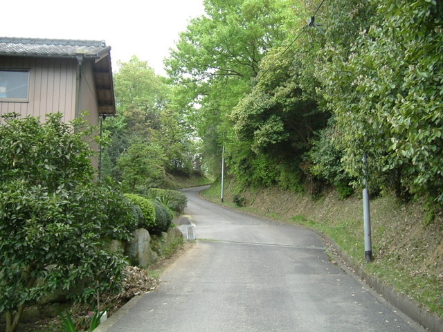 k10_12.jpg