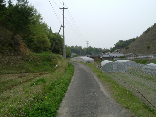 k10_26.jpg