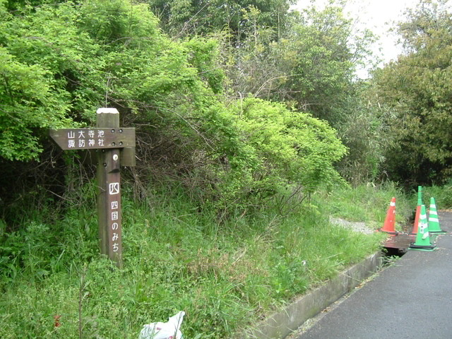 k10_31.jpg
