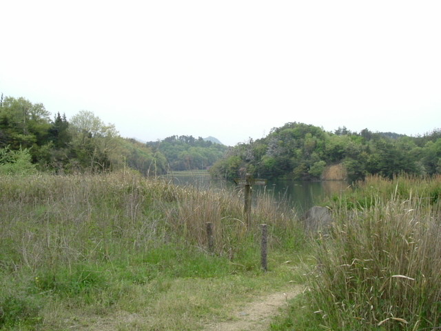 k10_32.jpg