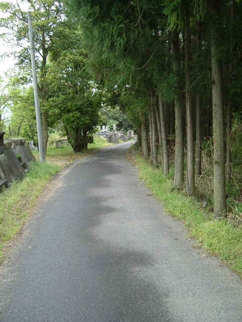 k10_39.jpg