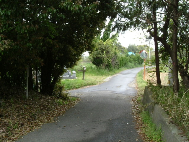 k10_40.jpg