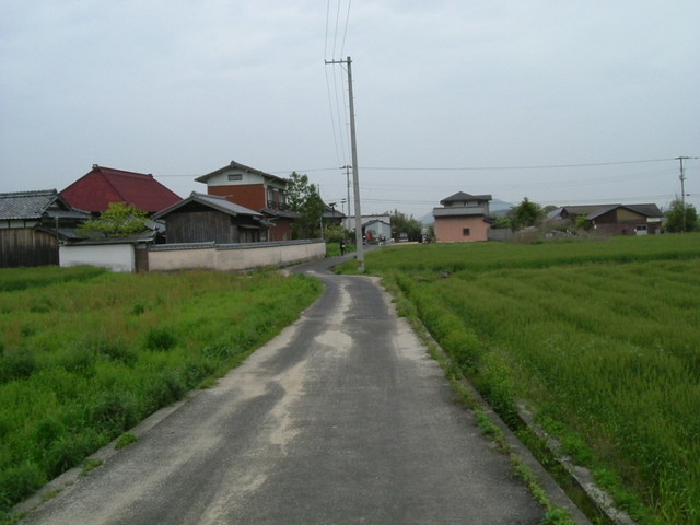 k10_42.jpg
