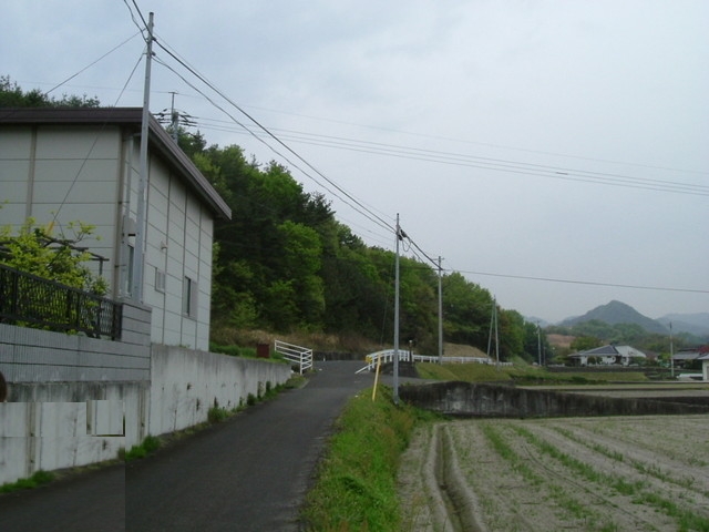 k10_45.jpg