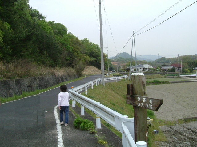 k10_46.jpg