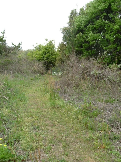k10_53.jpg