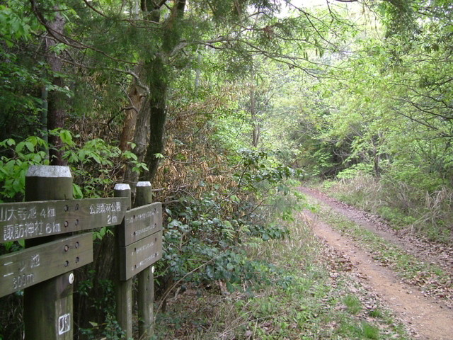 k10_59.jpg