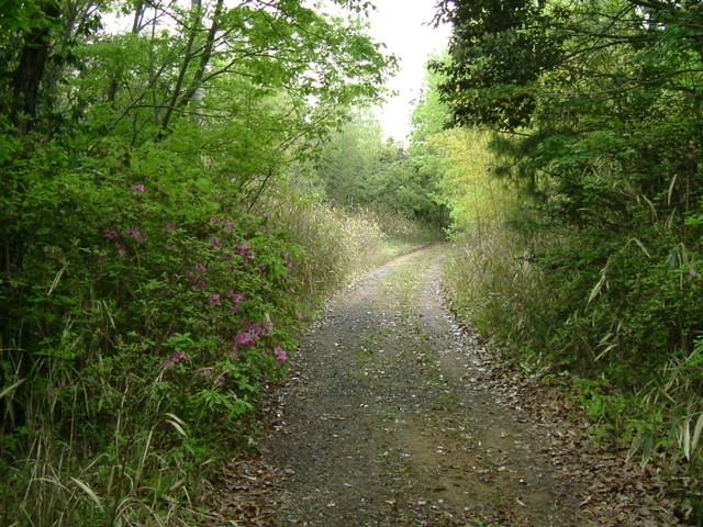 k10_60.jpg