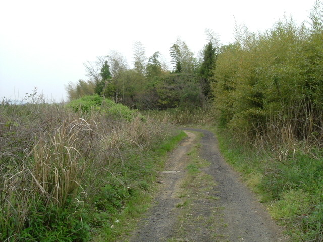 k10_62.jpg