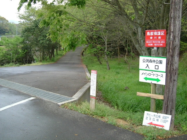 k10_70.jpg