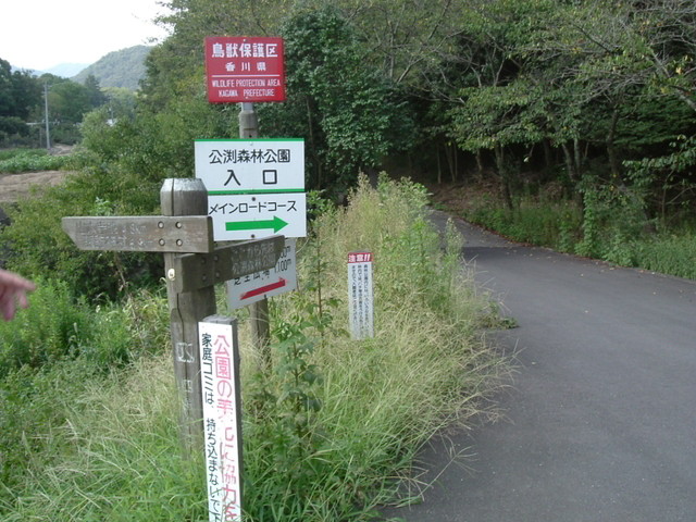 k10_071.jpg