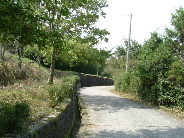 k10_074.jpg