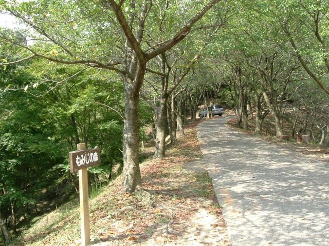 k10_075.jpg