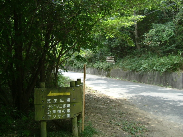 k10_086.jpg