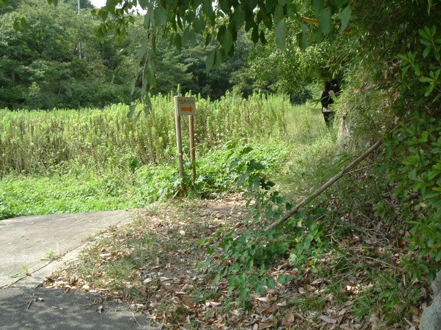 k10_087.jpg