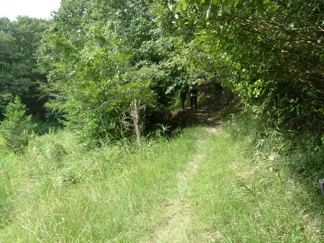 k10_088.jpg