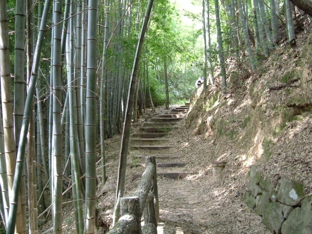 k10_091.jpg