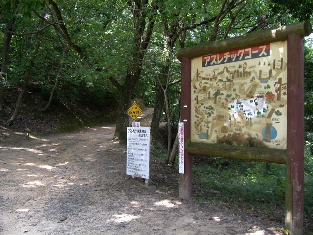k10_093.jpg