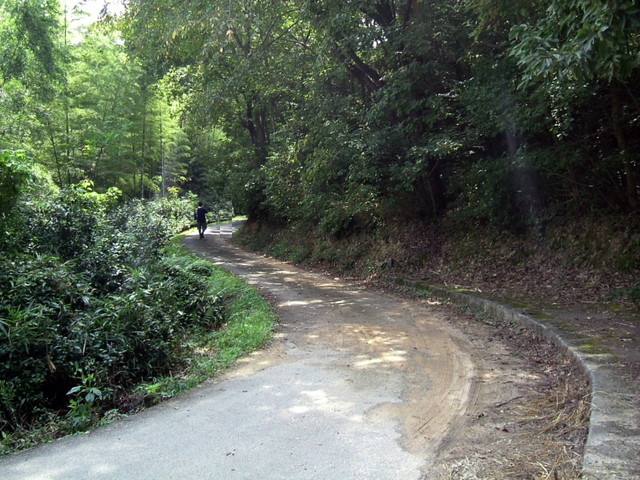 k10_094.jpg