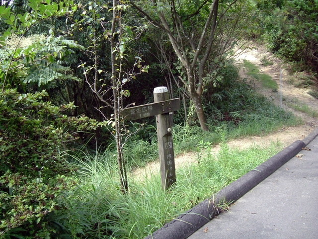 k10_096.jpg