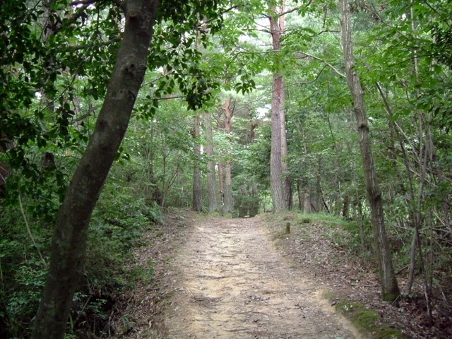 k10_097.jpg
