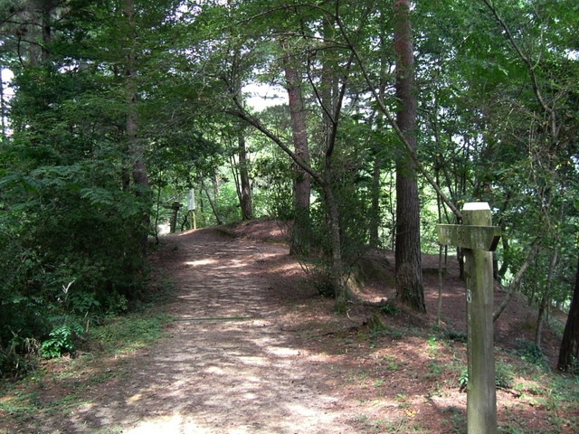 k10_098.jpg