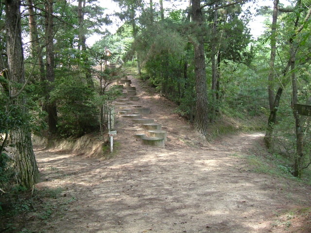 k10_099.jpg