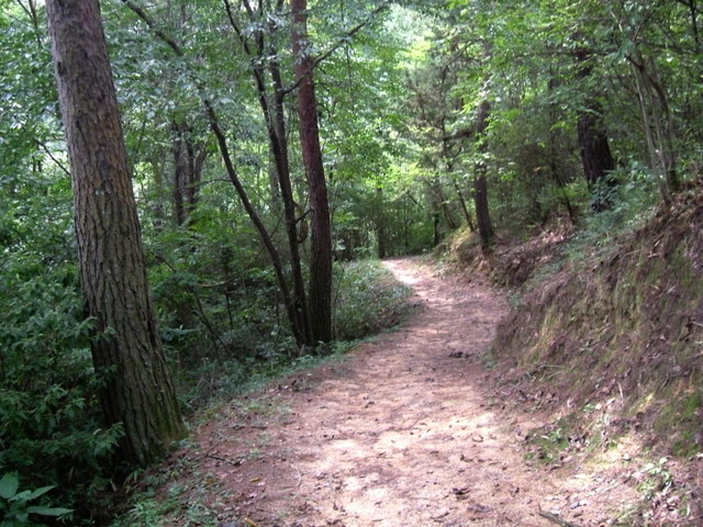 k10_100.jpg