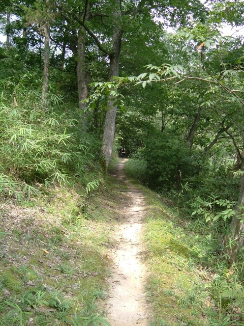 k10_101.jpg