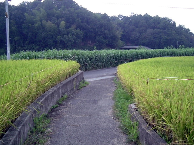 k10_109.jpg