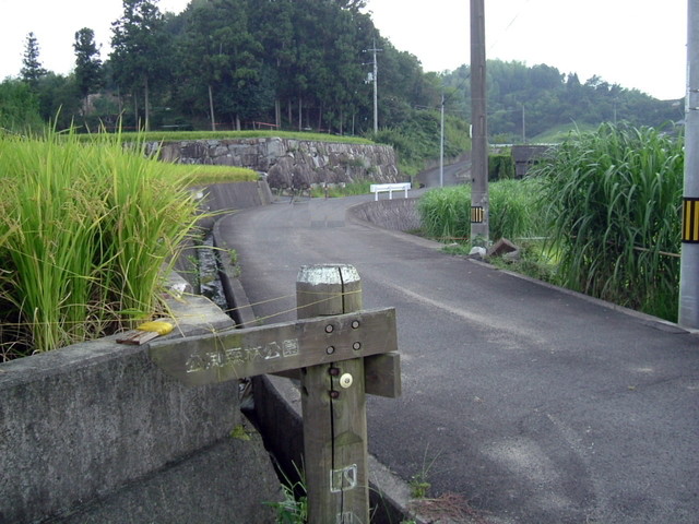 k10_110.jpg