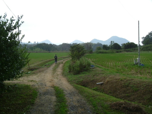 k10_113.jpg