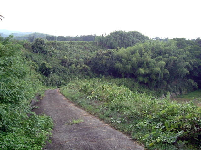k10_115.jpg