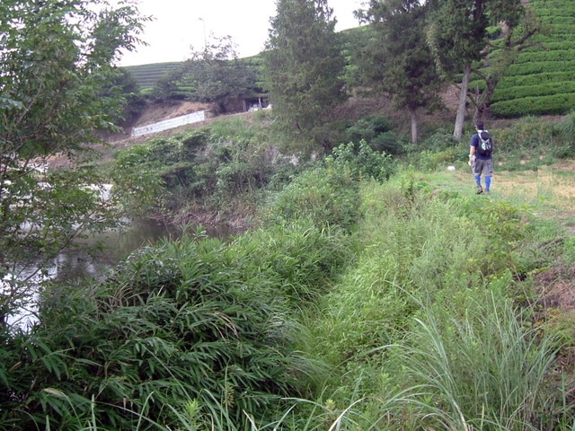 k10_117.jpg