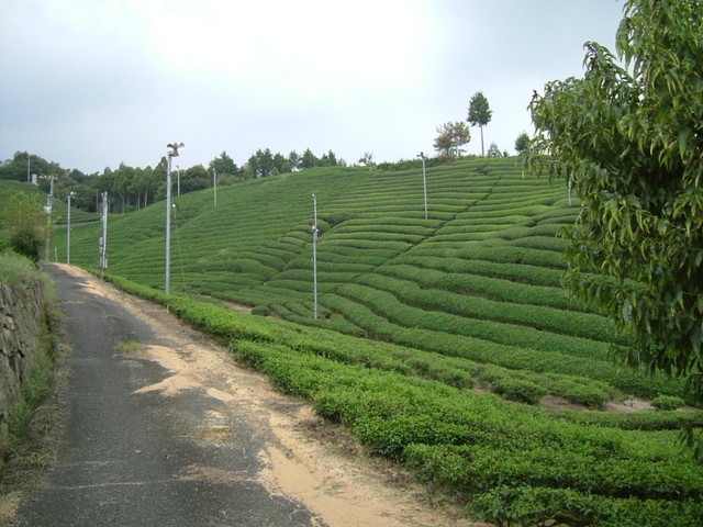 k10_119.jpg