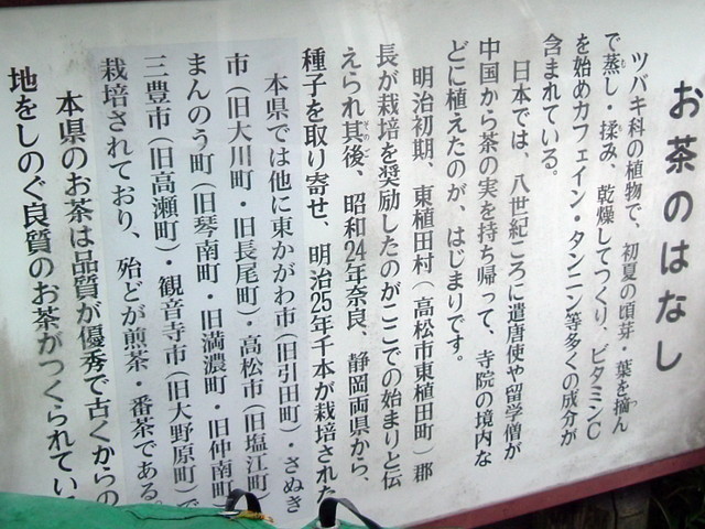 k10_120.jpg