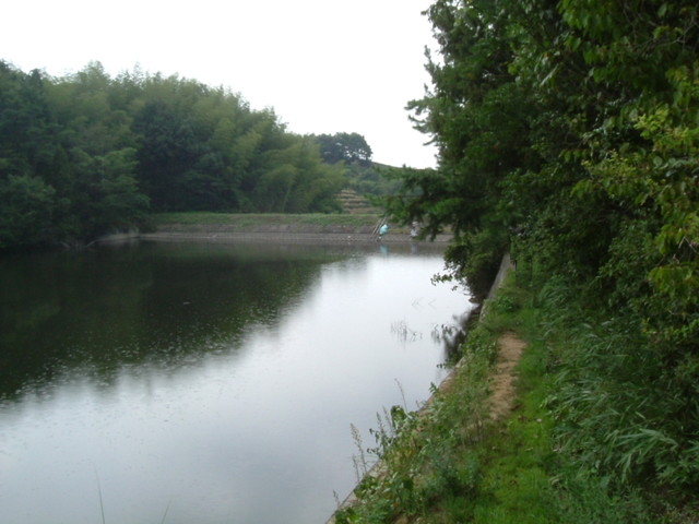 k10_121.jpg