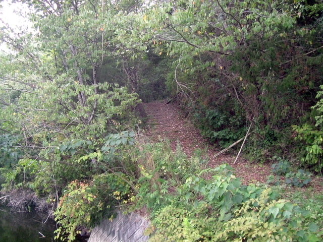 k10_123.jpg