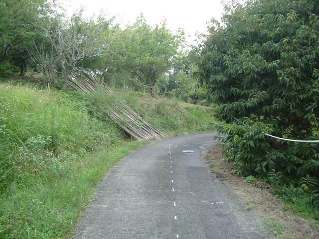k10_125.jpg
