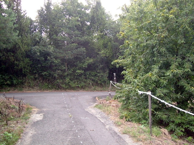 k10_126.jpg