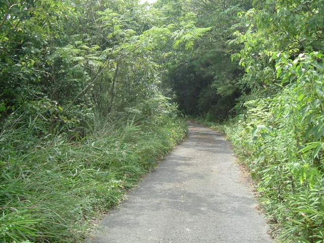 k10_130.jpg