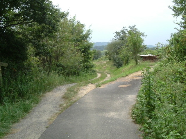 k10_131.jpg