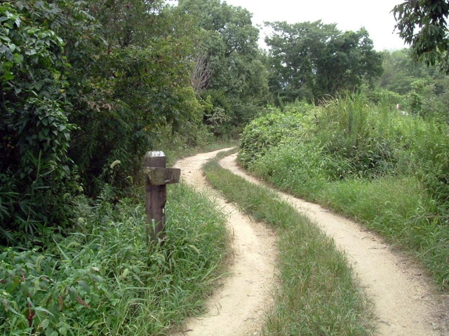k10_132.jpg