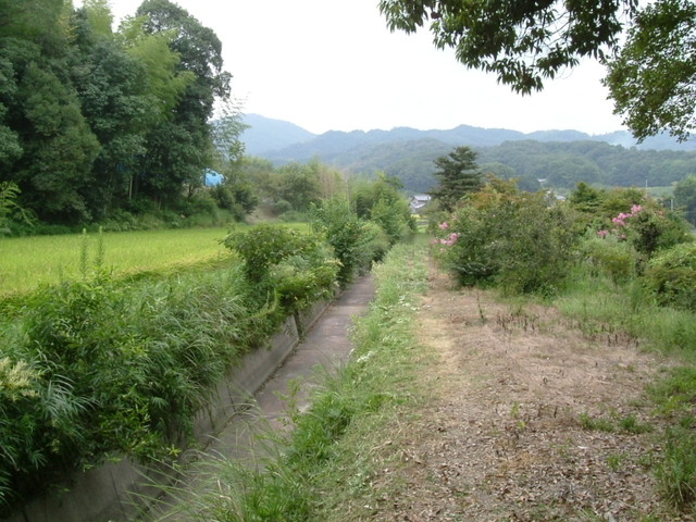 k10_135.jpg