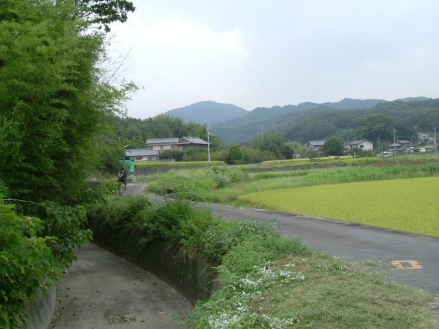 k10_136.jpg