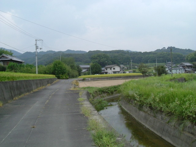 k10_137.jpg