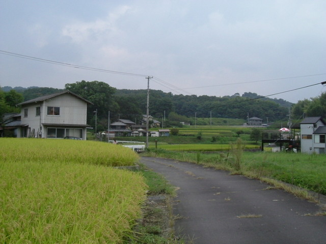 k10_138.jpg