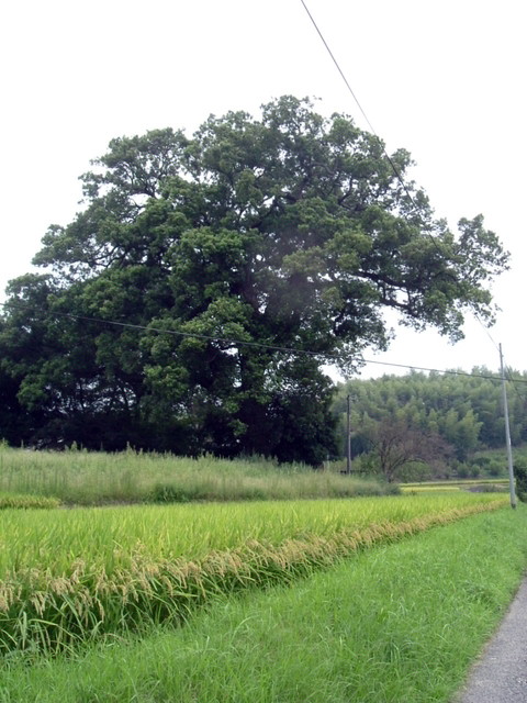 k10_139.jpg