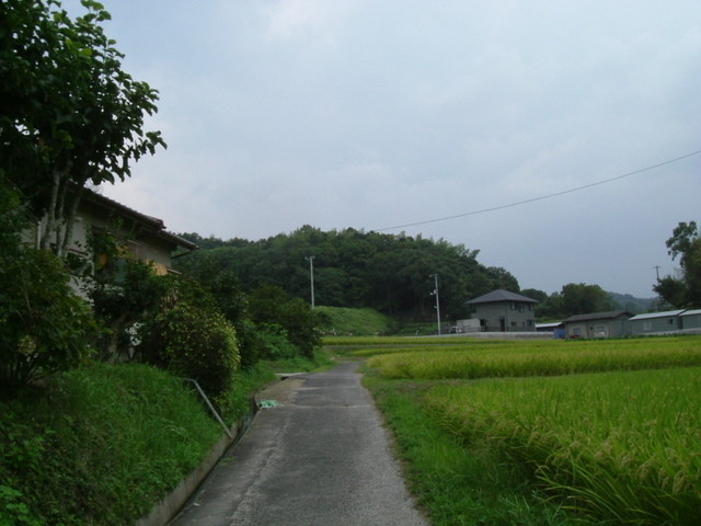 k10_141.jpg