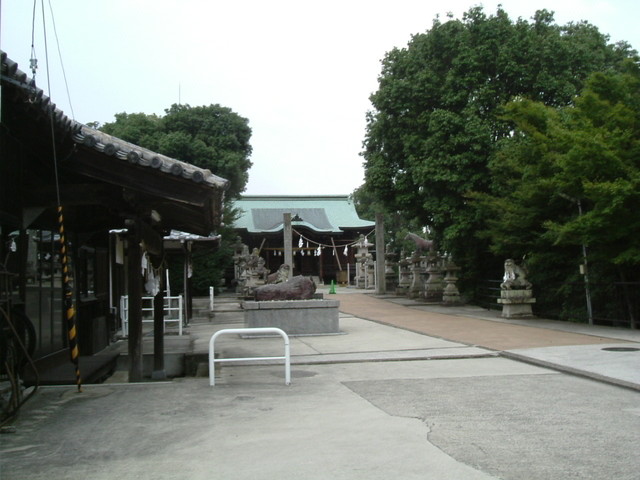 k10_150.jpg